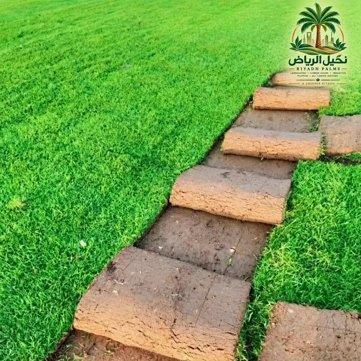 خدمات تصميم اللاندسكيب باحترافية نخيل الرياض