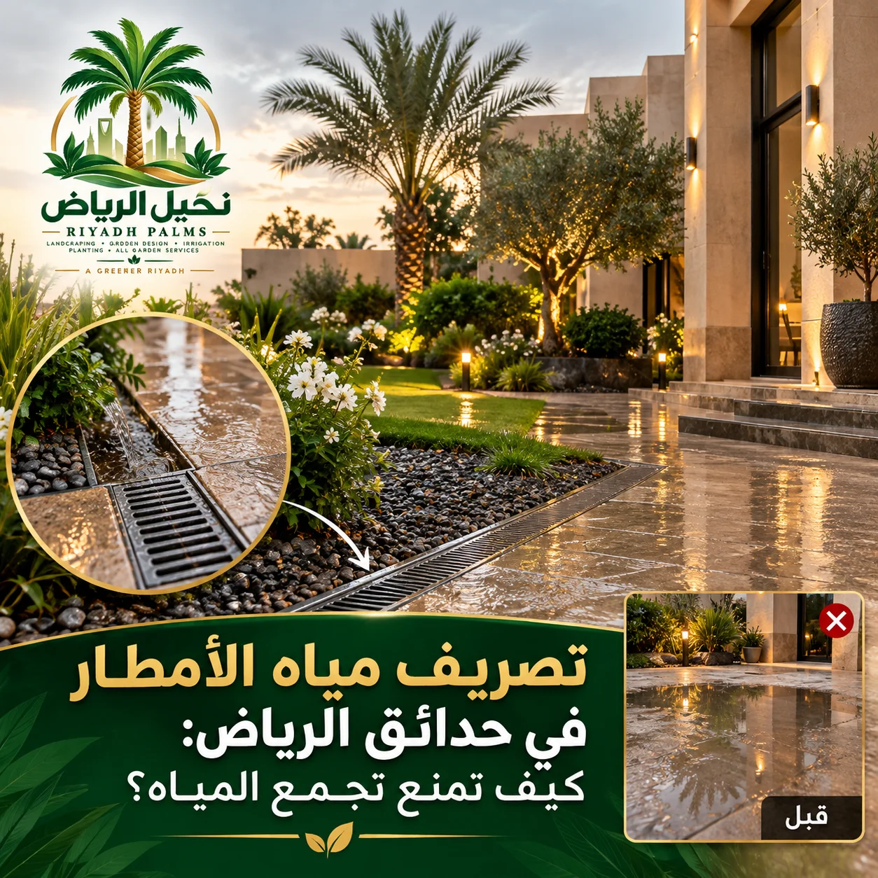 صور مقالات نخيل الرياض 19