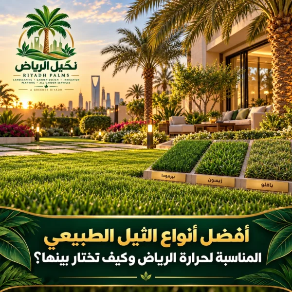 صور مقالات نخيل الرياض 2 600x600