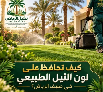 صور مقالات نخيل الرياض 23 360x320