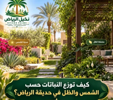 صور مقالات نخيل الرياض 24 360x320