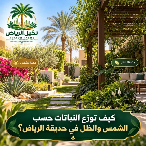 صور مقالات نخيل الرياض 24 600x600
