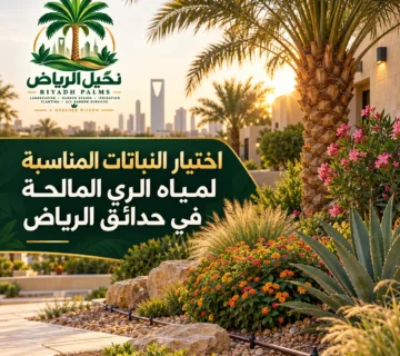 صور مقالات نخيل الرياض 26 360x320