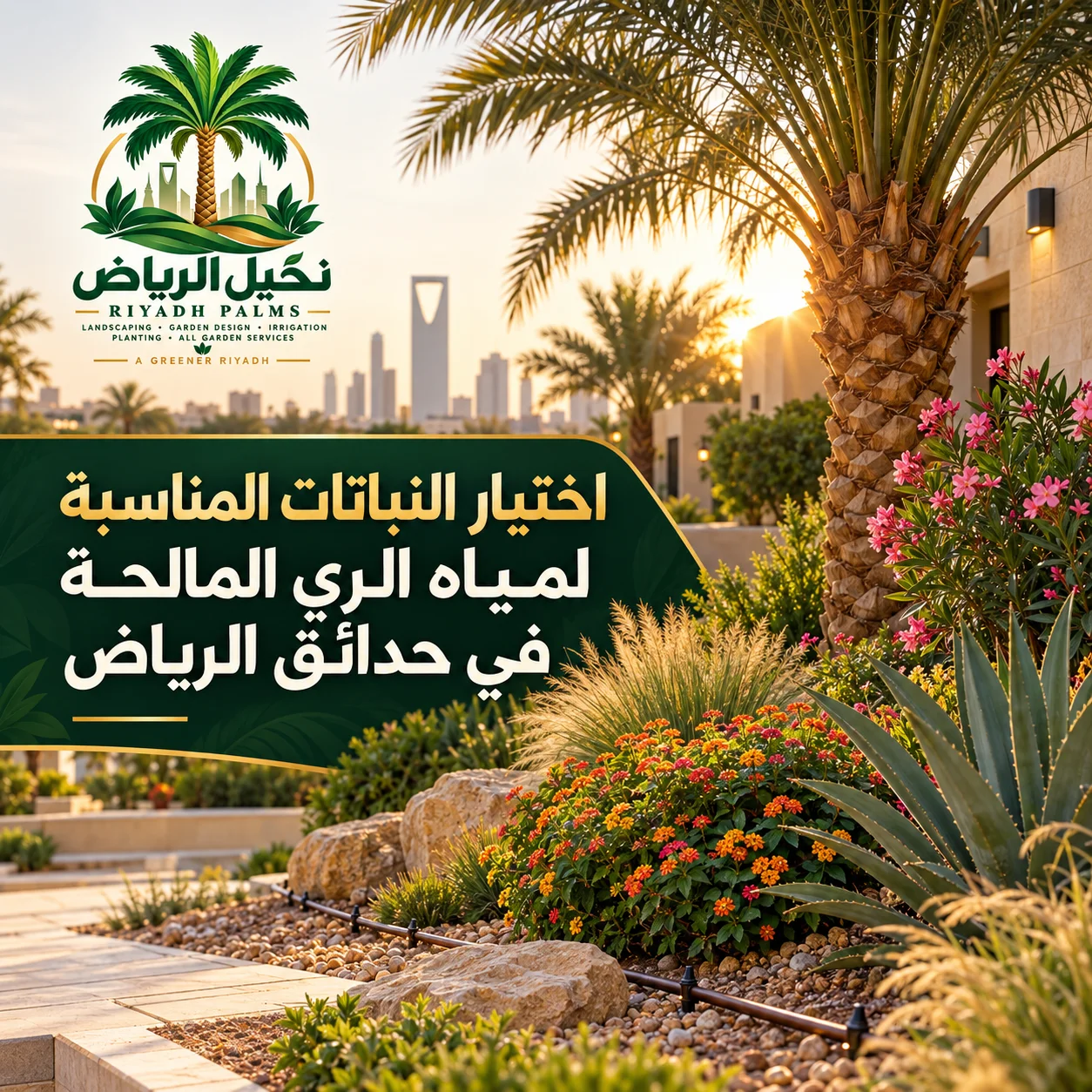 صور مقالات نخيل الرياض 26