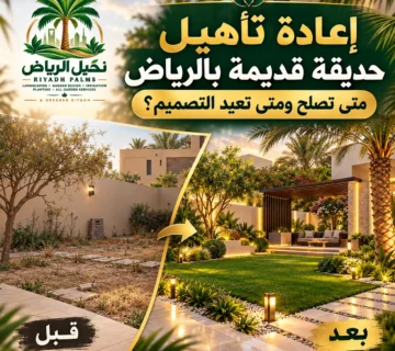 صور مقالات نخيل الرياض 31 360x320