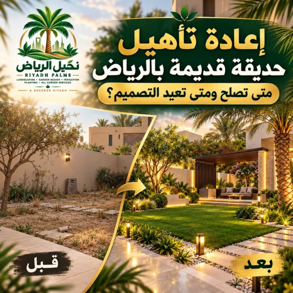 صور مقالات نخيل الرياض 31 600x600
