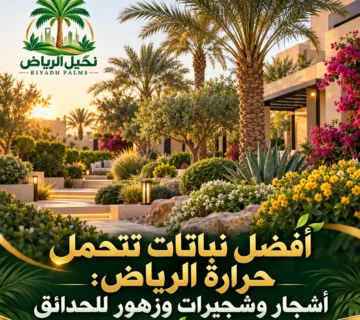 صور مقالات نخيل الرياض 45 360x320